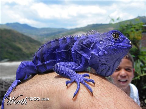 Photoshop Design by Gramlengo