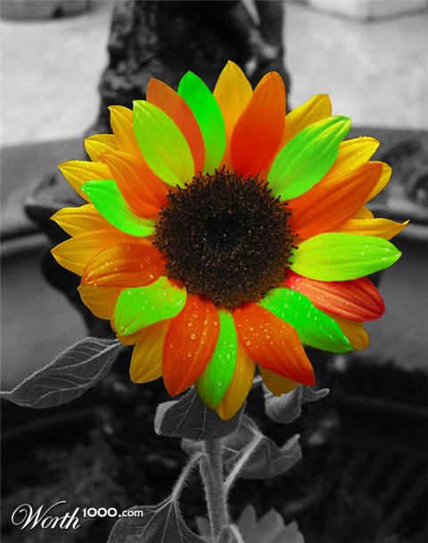 Photoshop Design by albedimus