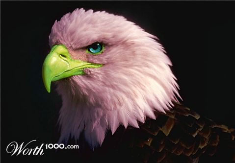 Photoshop Design by Silverhair1960