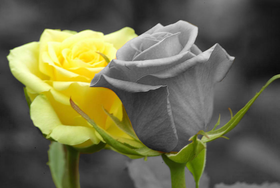 Photoshop Design by Tiiboy for DesignCrowd (Community Contests) | Design #9053666