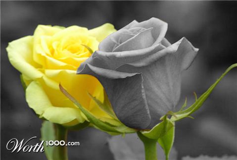 Photoshop Design by Tiiboy