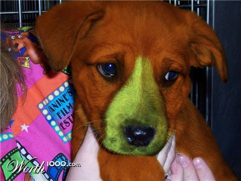 Photoshop Design by matster