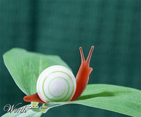 Photoshop Design by whitebread1440