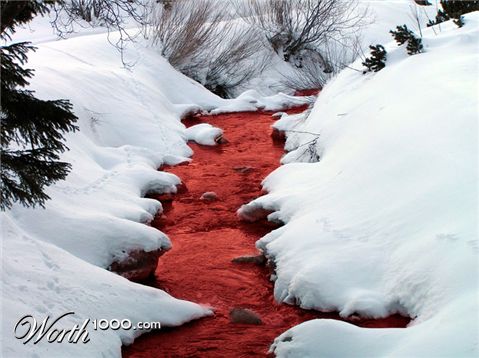 Photoshop Design by jbr0530