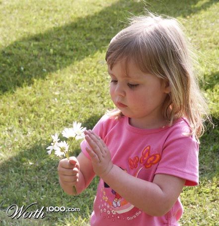 Photography by copierguy43215