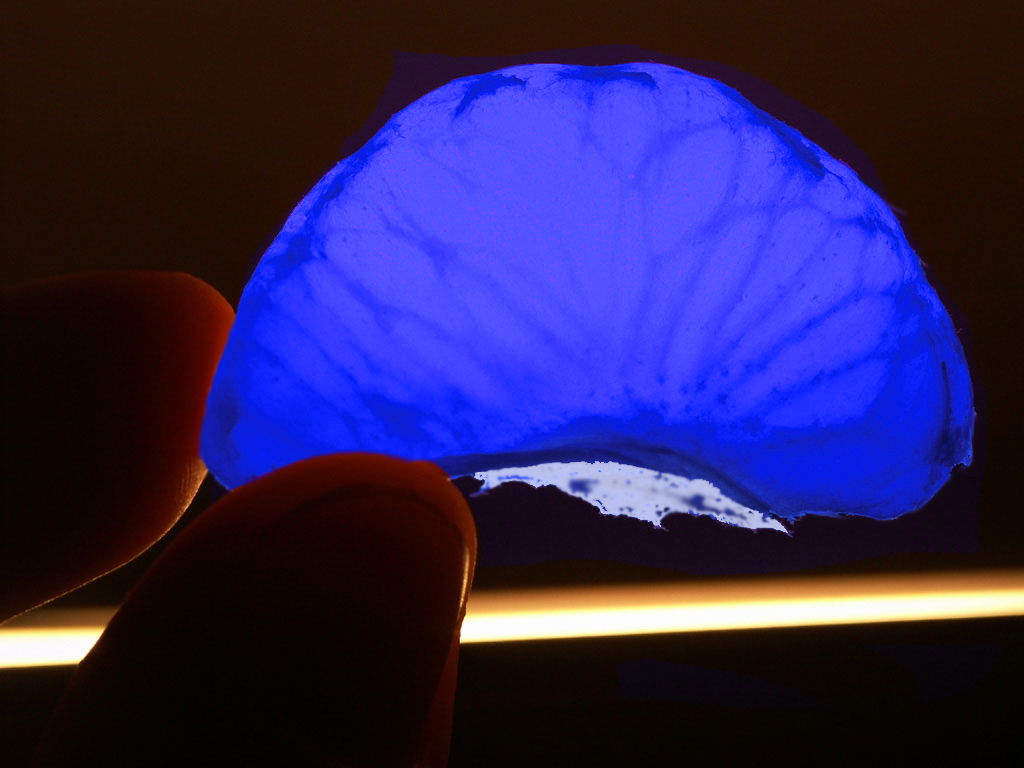 Photoshop-Design von denniswitjes für DesignCrowd (Community Contests) | Design #9053887