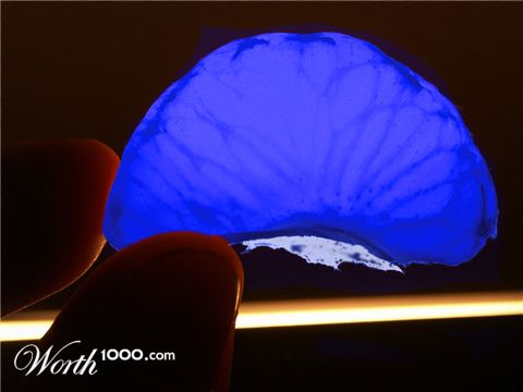 Photoshop Design by denniswitjes