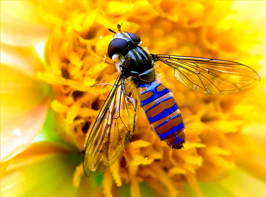 Photoshop Design by DutchPuh for DesignCrowd (Community Contests) | Design #9053952