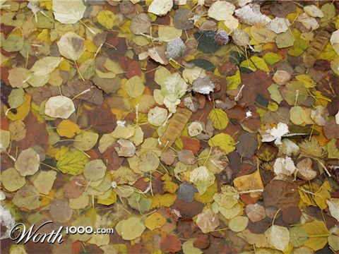 Photography by IsleofJura