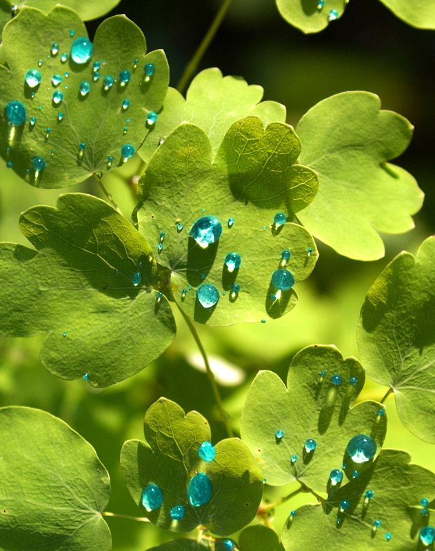 Photoshop Design by nutchaya for DesignCrowd (Community Contests) | Design #9053920