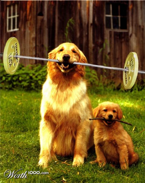 Photoshop Design by Irrwitzer