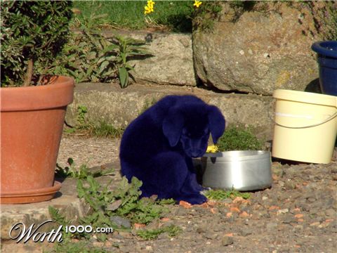 Photoshop Design by skunkette