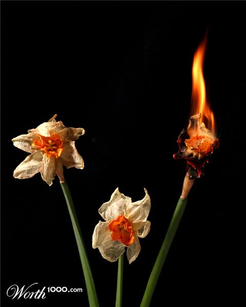 Photography by SigloV