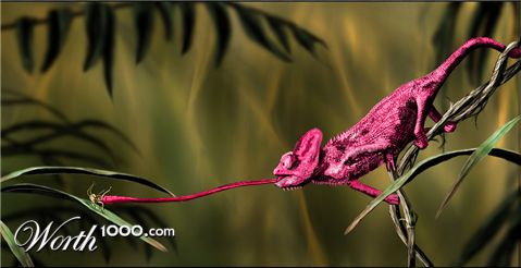 Photoshop Design by Schlittenhund