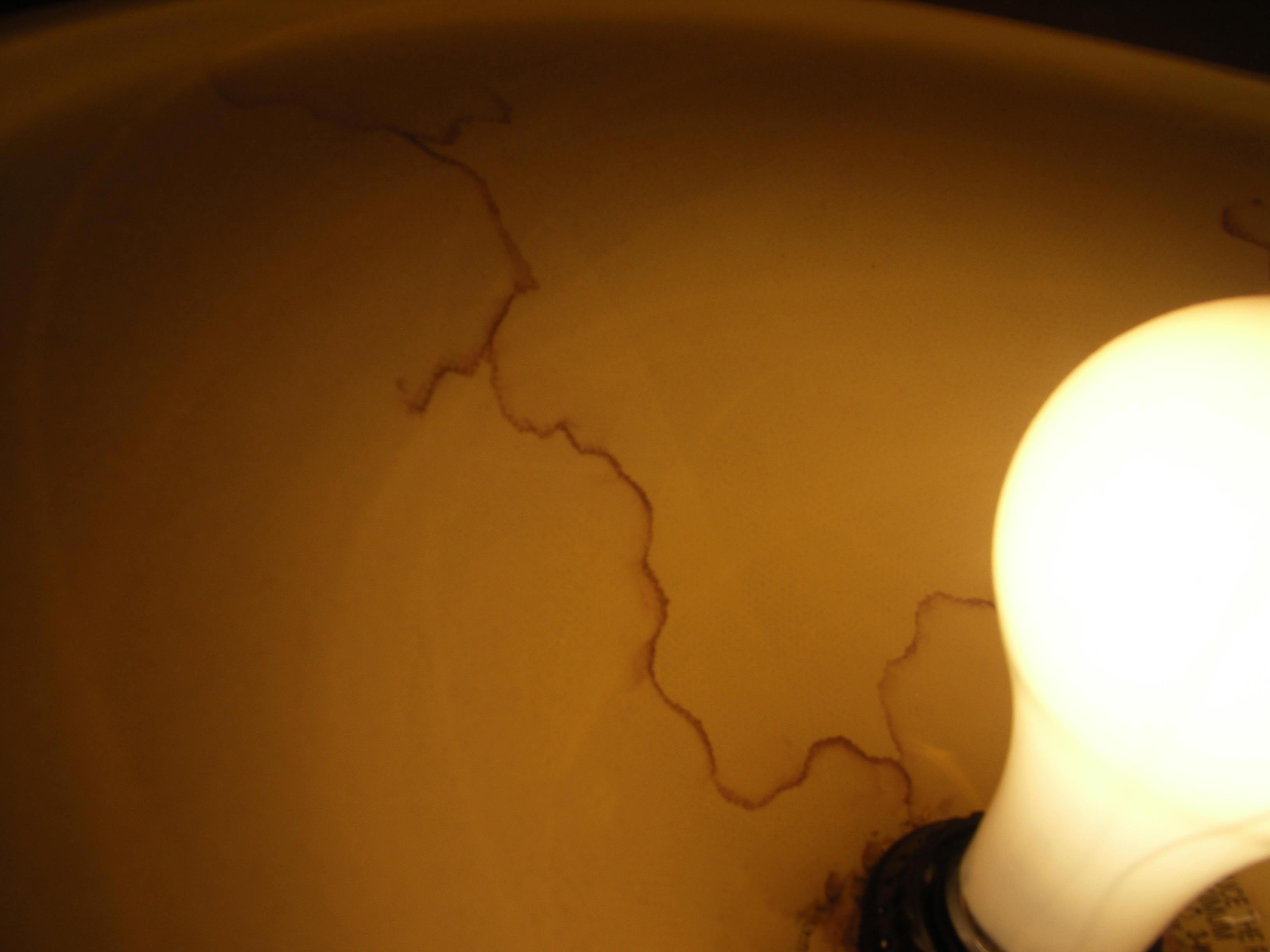 Photography by SpeakingOfAmethyst for DesignCrowd (Community Contests) | Design #9055043