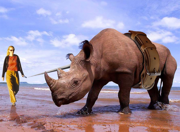 Photoshop-Design von wagnerm25 für DesignCrowd (Community Contests) | Design #9042000