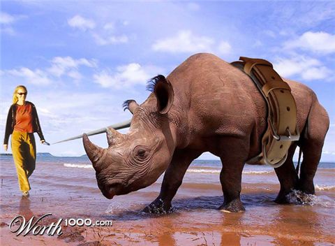 Photoshop Design by wagnerm25