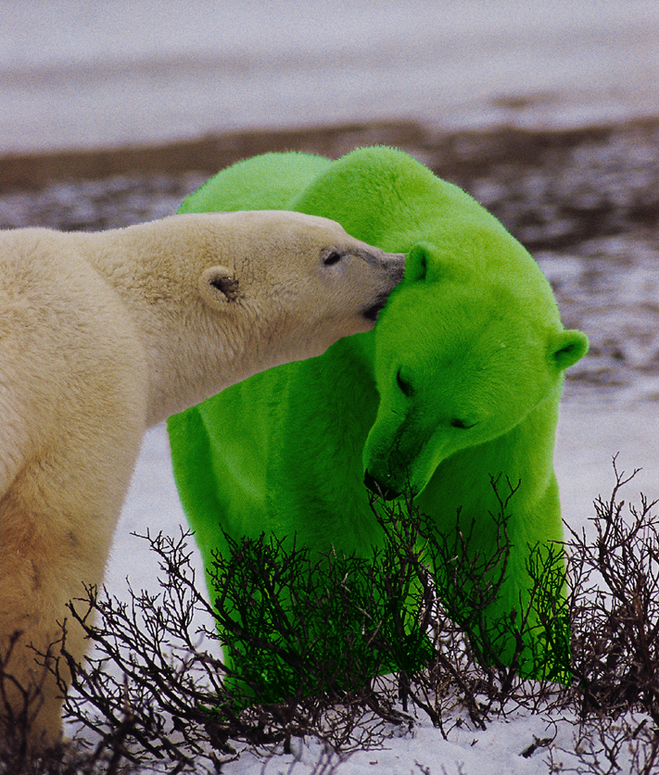 Photoshop-Design von gagne38 für DesignCrowd (Community Contests) | Design #9054151