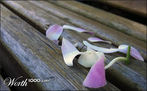 Photography by theduffman