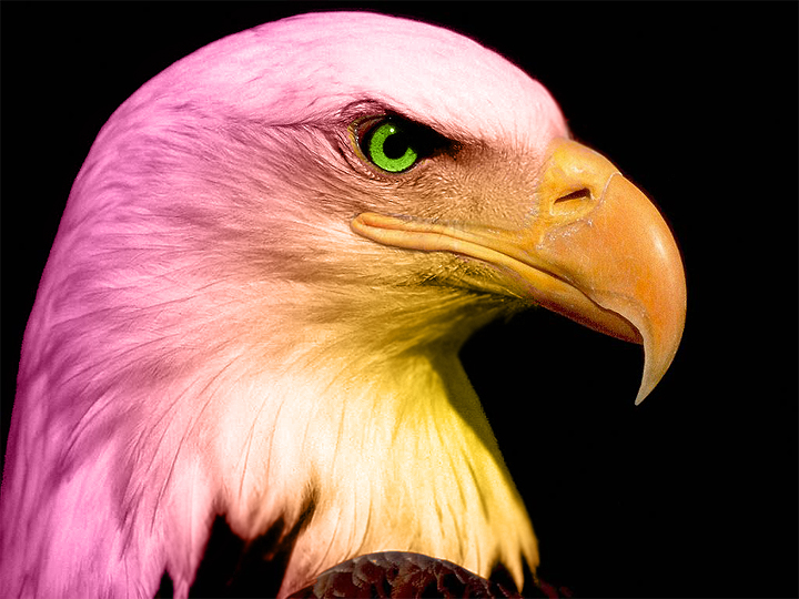 Design Photoshop par LessZoa pour DesignCrowd (Community Contests) | Design #9054150