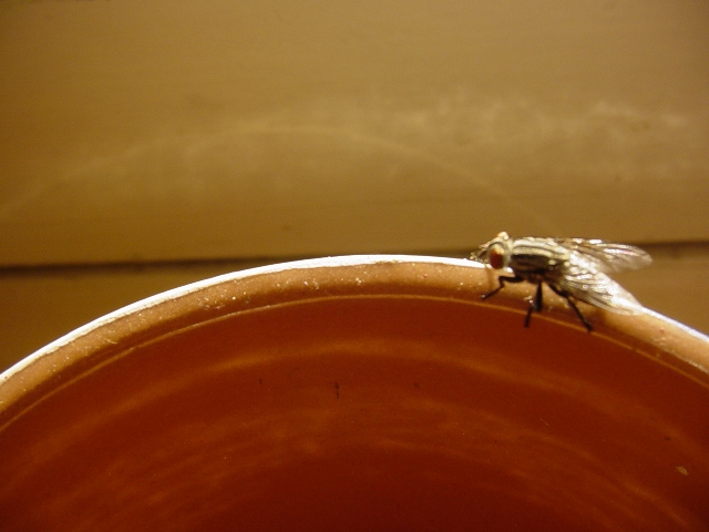 Fotografía por Surferine para DesignCrowd (Community Contests) | Diseño #9054447