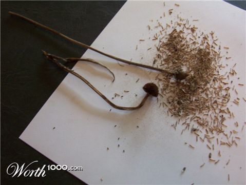 Photography by spincast1123