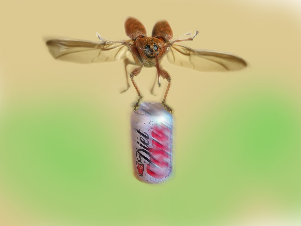 Photoshop Design by krishhi for DesignCrowd (Community Contests) | Design #9042054