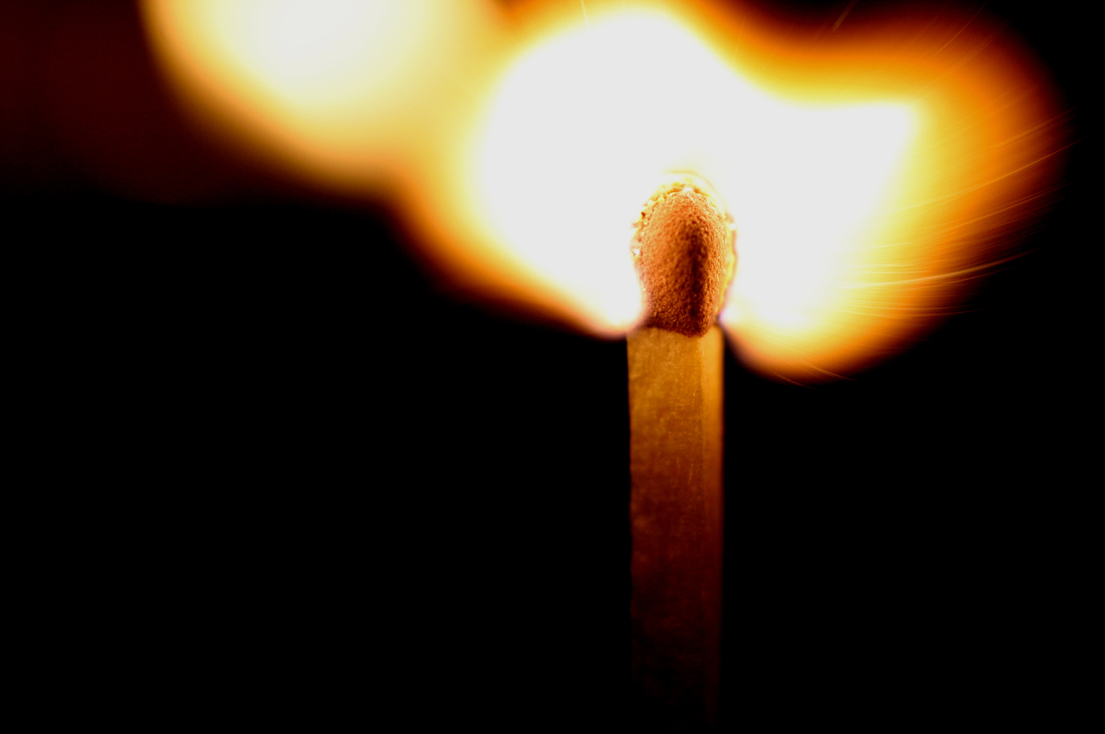 Photography by EmilBanck for DesignCrowd (Community Contests) | Design #9050465