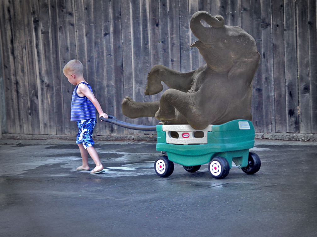 Photoshop Design by HeatherB for DesignCrowd (Community Contests) | Design #9041993