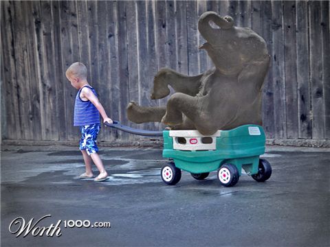 Photoshop Design by HeatherB