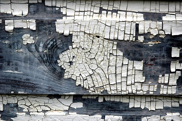 Photography by MisterSir for DesignCrowd (Community Contests) | Design #9054942