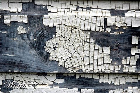 Photography by MisterSir