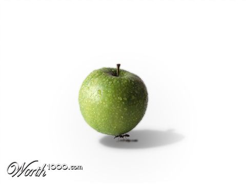 Photoshop Design by BlueHunter