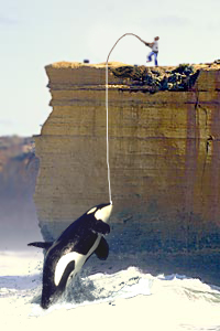 Photoshop Design by nenafe for DesignCrowd (Community Contests) | Design #9042206