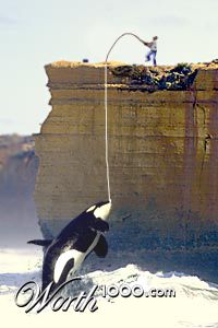 Photoshop Design by nenafe