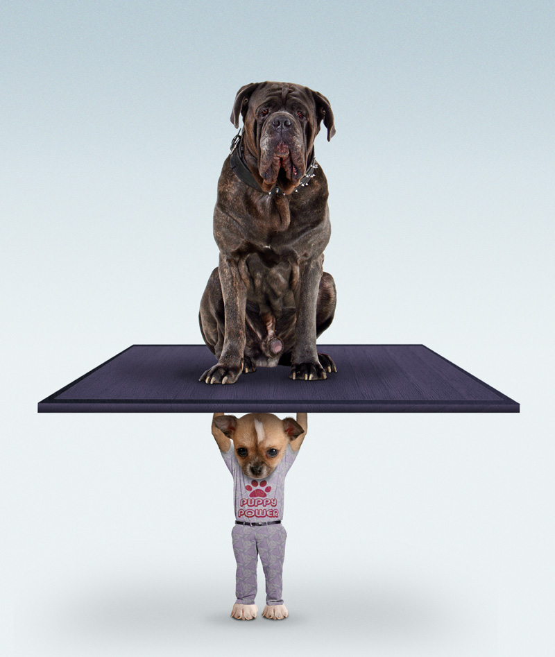 Photoshop Design by Ray__Mac for DesignCrowd (Community Contests) | Design #9042069