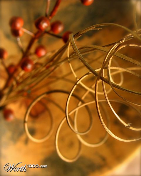 Photography by nowheregirl