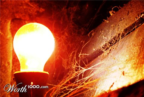 Photography by Flibble