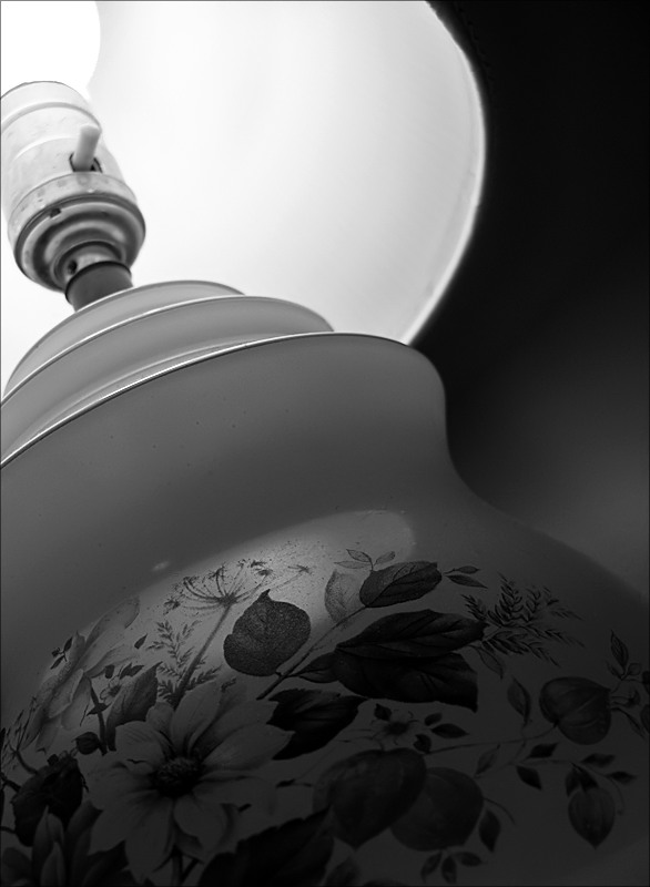 Photography by fromthemill for DesignCrowd (Community Contests) | Design #9055066