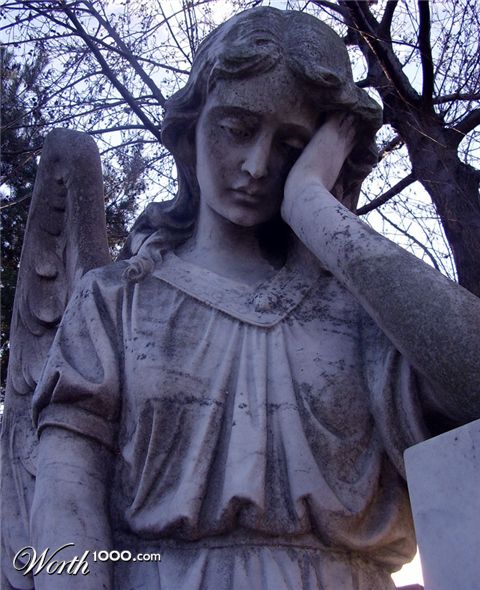 Photography by scorpio777