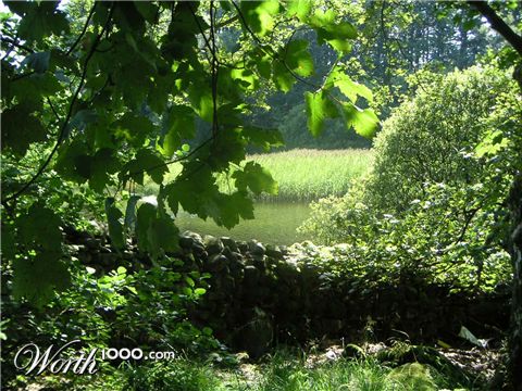 Photography by crownoctavo