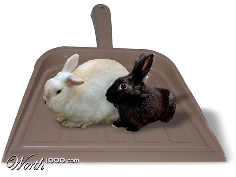 Photoshop Design by witchiepoo