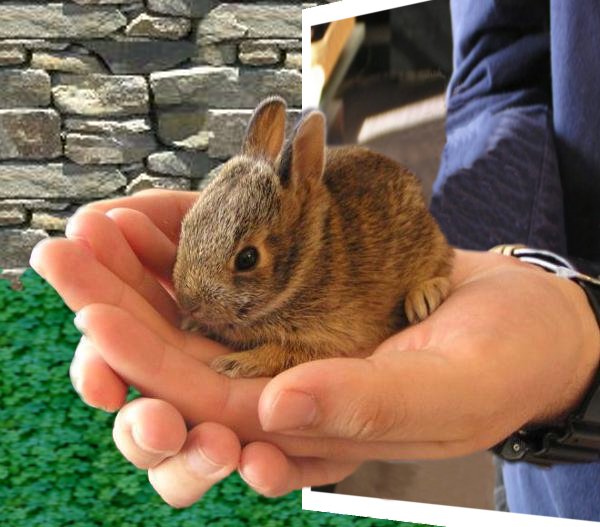 Photoshop-Design von DoctorTweek für DesignCrowd (Community Contests) | Design #9040860