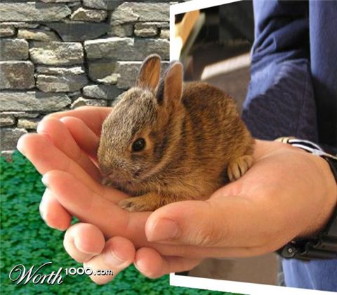 Photoshop Design by DoctorTweek