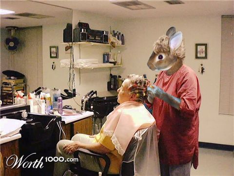 Photoshop Design by kibbitzmom