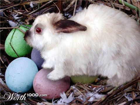 Photoshop Design by EyEars