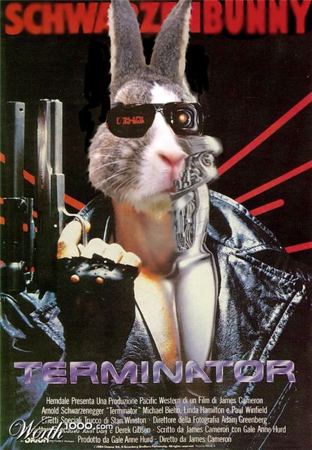 Photoshop Design by MeltedUFO