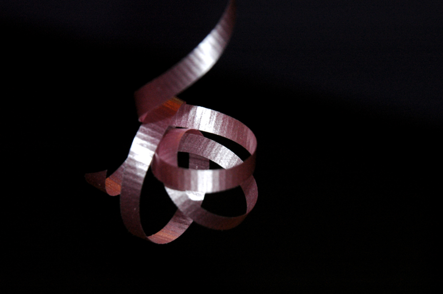 Photographie par RedFirebird pour DesignCrowd (Community Contests) | Design #9059004