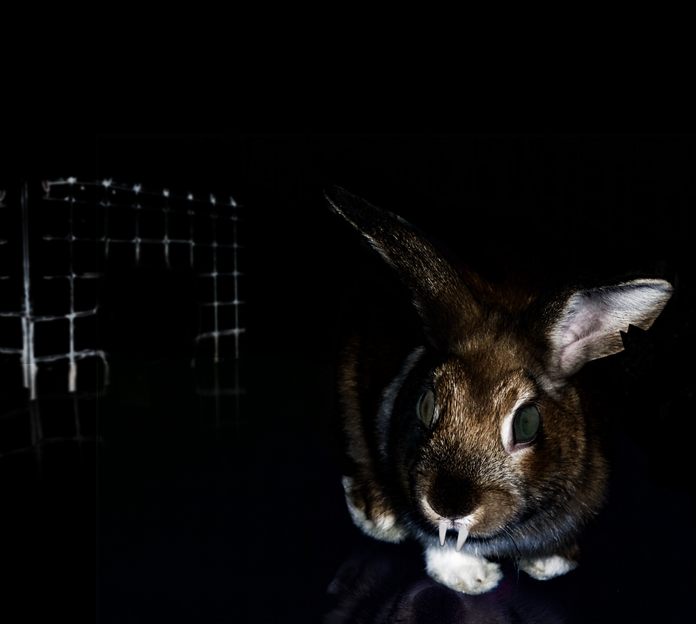 Photoshop Design by Ryzzee for DesignCrowd (Community Contests) | Design #9040967