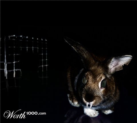 Photoshop Design by Ryzzee